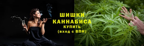 соль ск Пионерский