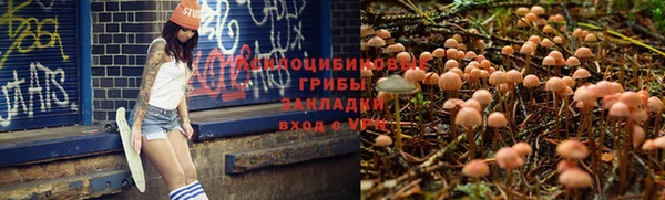 прущий лед Сосновый Бор