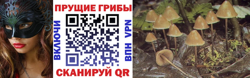 hydra маркетплейс  Улан-Удэ  Псилоцибиновые грибы мухоморы  продажа наркотиков 