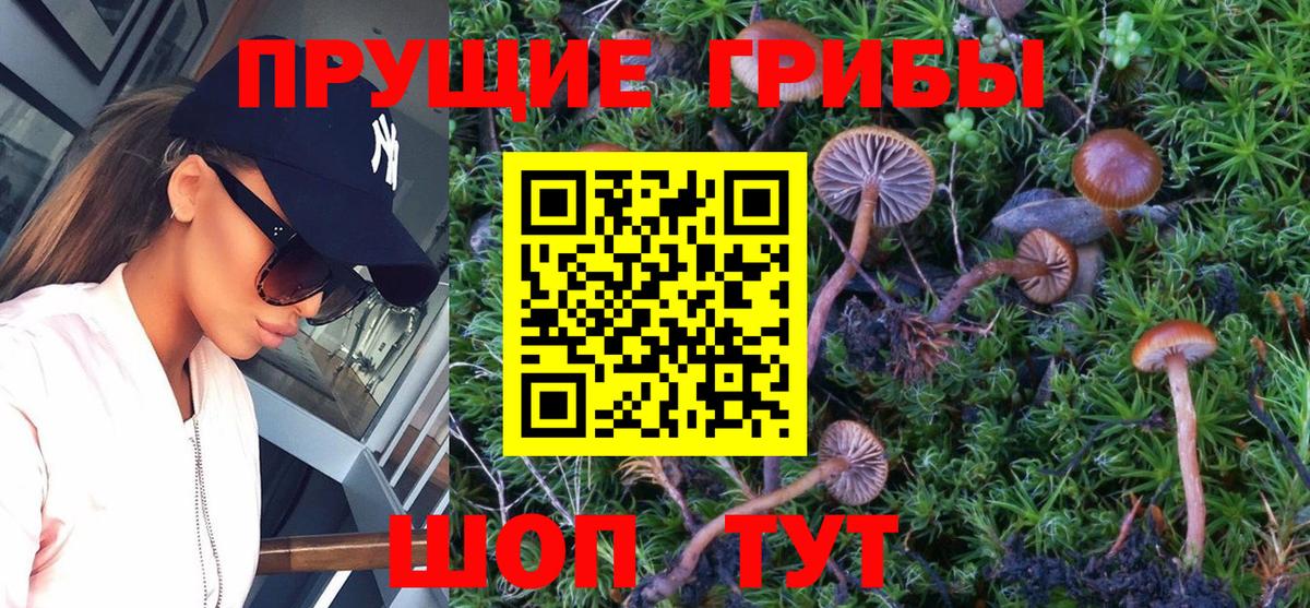 Галлюциногенные грибы Magic Shrooms  Псилоцибиновые грибы Magic Shrooms  купить закладку  Улан-Удэ 