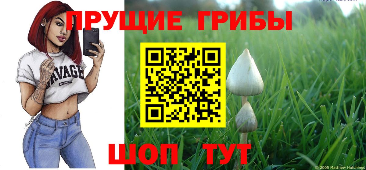 Галлюциногенные грибы MAGIC MUSHROOMS  Вход с VPN  Улан-Удэ  Галлюциногенные грибы мухоморы 
