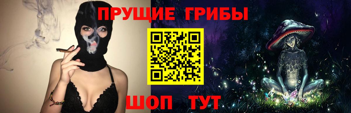 Псилоцибиновые грибы Psilocybine cubensis Улан-Удэ